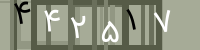 کد تصویری