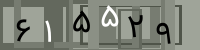 کد تصویری
