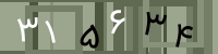 کد تصویری