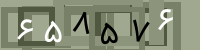 کد تصویری